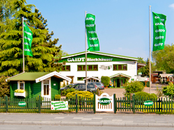 GAIDT Ausstellung und Werk